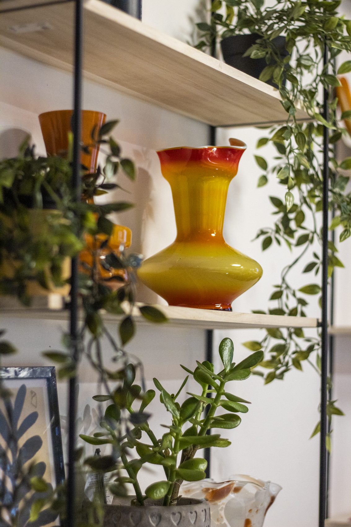 Shelf with vintage vases and plants