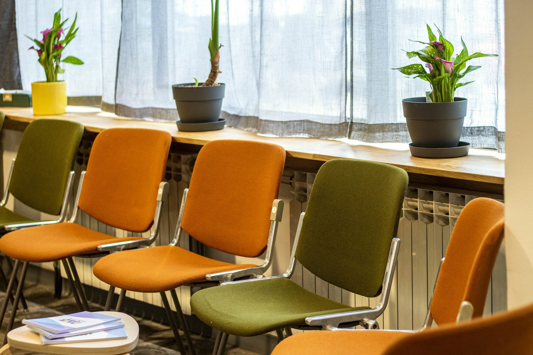 Row of chairs by the window with plants