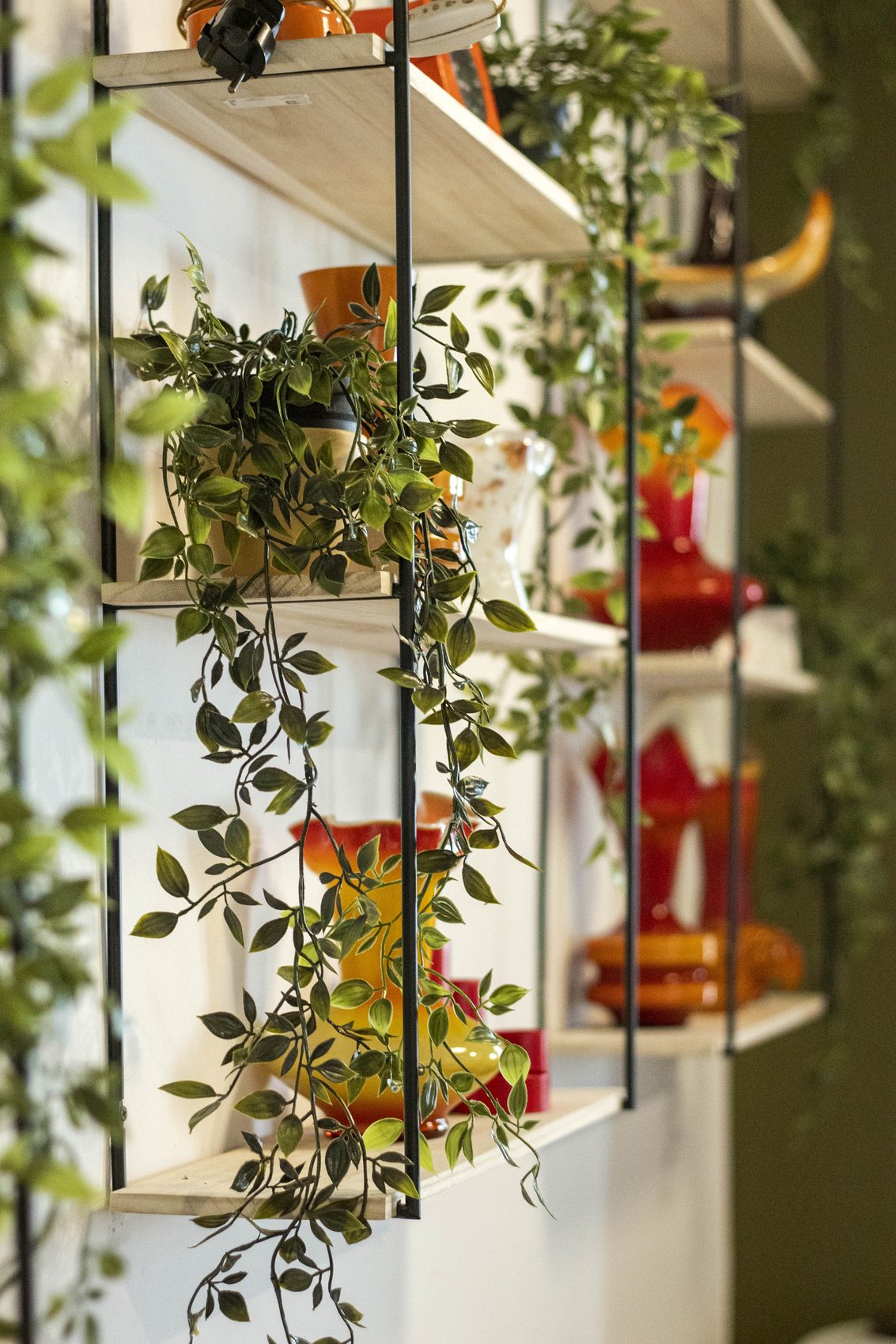 Shelf with plants and decorative objects